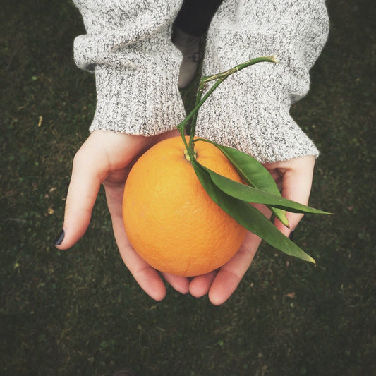 Vitamin C benefits for your Skin Hands Holding an Orange